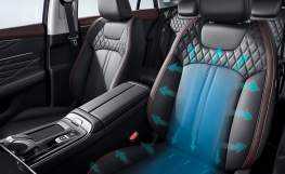 Dongfeng Shine Max
