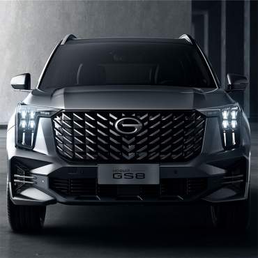 gs8ii %2