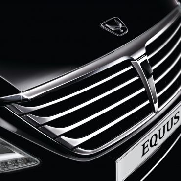 equus %2