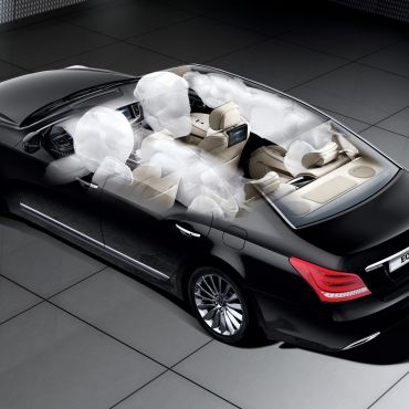 equus %2