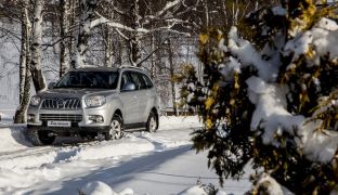 Foton Sauvana